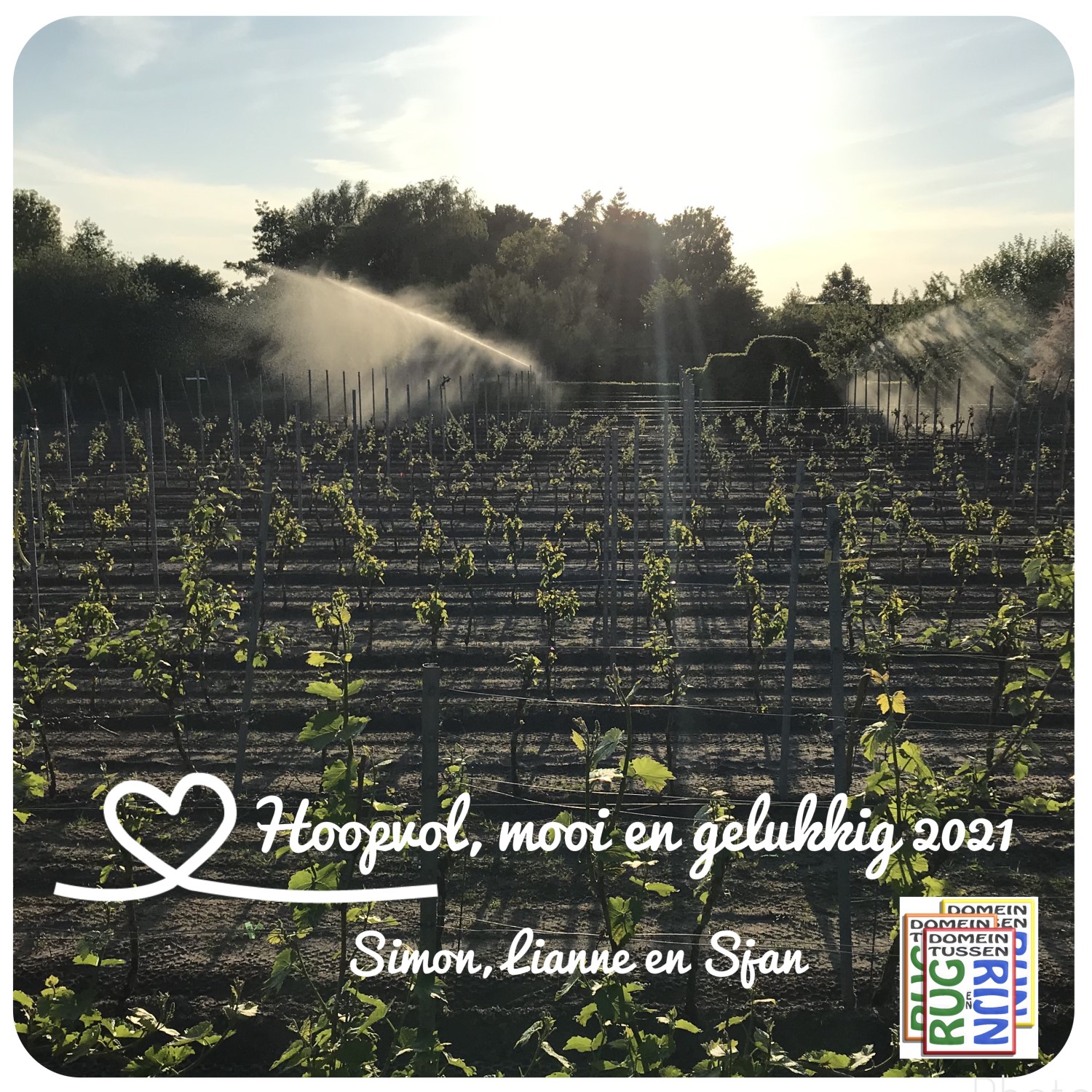 Hoopvol, mooi en gelukkig 2021